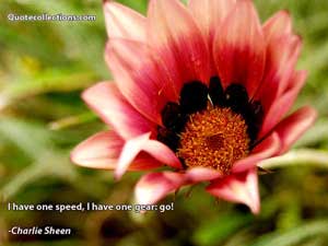 Charlie_Sheen Quotes 5