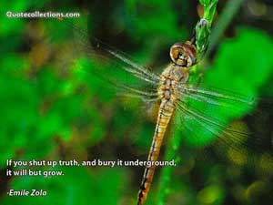 Emile_Zola Quotes 3