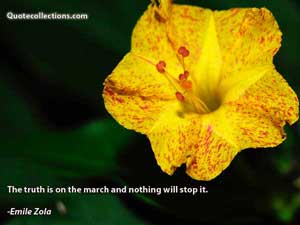 Emile_Zola Quotes 4