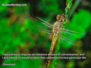 Questlove_quotes Quotes 8