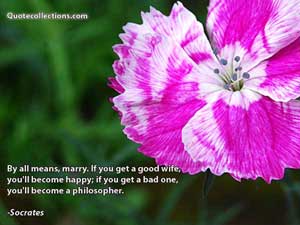 socrates_quotes Quotes 2