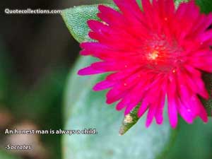 socrates Quotes 5
