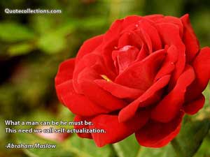 Abraham Maslow Quotes 2