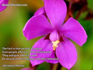 Abraham Maslow Quotes 3