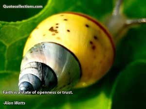 Alan Watts Quotes 2