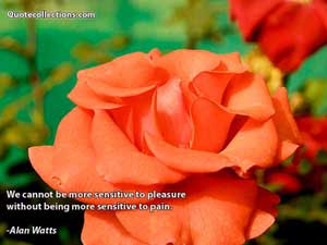 Alan Watts Quotes 3