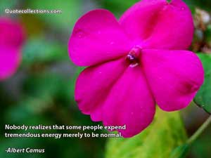 Albert Camus Quotes 3