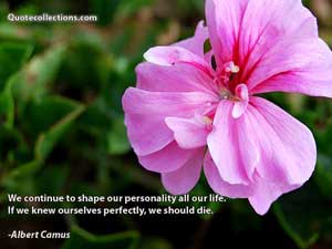 Albert Camus Quotes 7