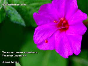 Albert Camus Quotes 8