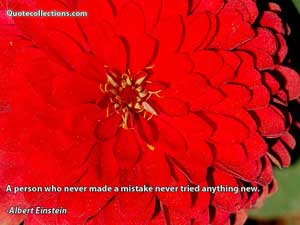Albert Einstein Quotes 1