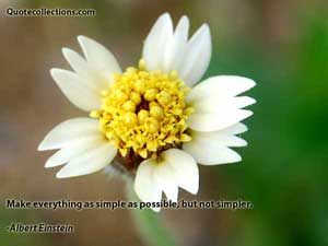 Albert Einstein Quotes 5