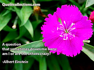 Albert Einstein Quotes 13