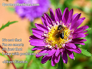 Albert Einstein Quotes 17