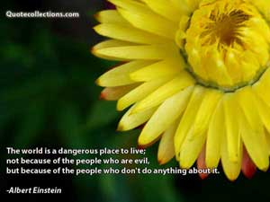 Albert Einstein Quotes 2