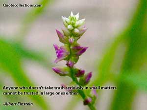Albert Einstein Quotes 5