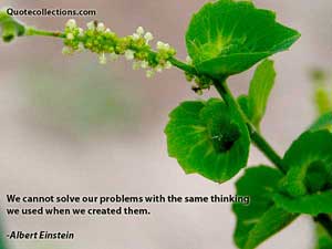 Albert Einstein Quotes 5