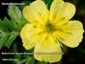 Albert Einstein Quotes 5