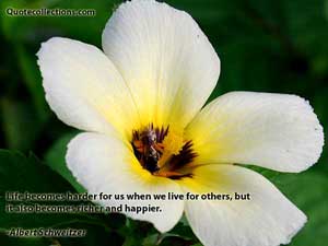 Albert Schweitzer Quotes 1