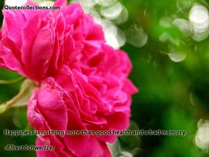 Albert Schweitzer Quotes 2