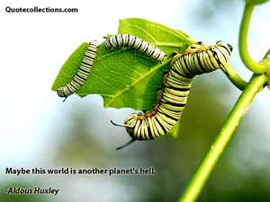 Aldous Huxley Quotes 1