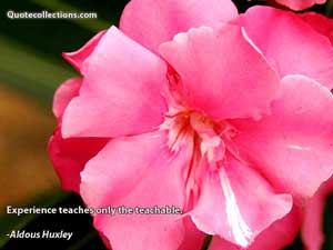 Aldous Huxley Quotes 2