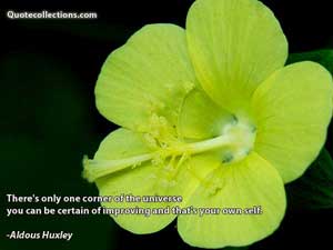 Aldous Huxley Quotes 2