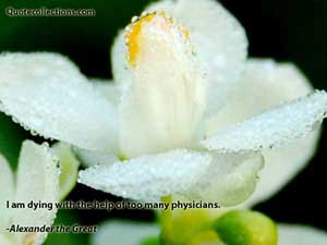 Alexander The Great Quotes 2