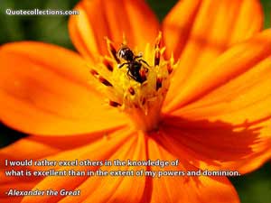 Alexander The Great Quotes 4