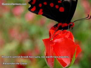 Alexander The Great Quotes 5