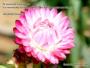 Aristotle Onassis Quotes 6