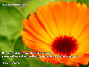 Barack Obama Quotes 3