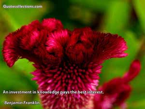 Benjamin Franklin Quotes 5