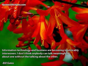 Bill Gates Quotes 5
