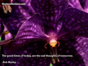Bob Marley Quotes 5