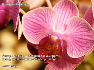 Bob Marley Quotes 5