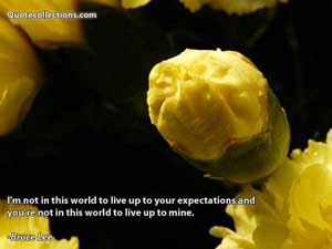 Bruce Lee Quotes 5