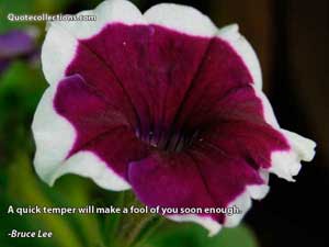 Bruce Lee Quotes 5