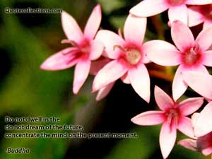 Buddha Quotes 1