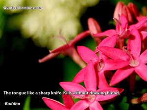 Buddha Quotes 3
