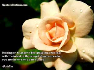 Buddha Quotes 4