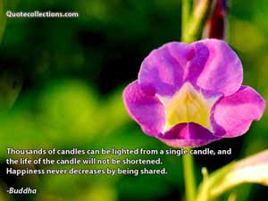 Buddha Quotes 5