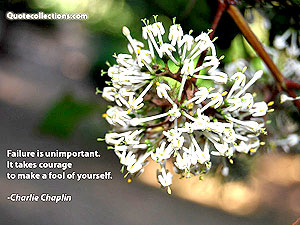 charlie-chaplin Quotes 2