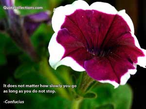 confucius Quotes 5