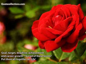 Corporate Quotes 5