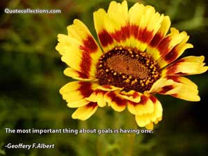 geoffery_f_albert_quotes Quotes 1