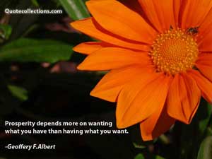 geoffery_f_albert_quotes Quotes 3