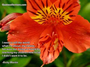ricky_martin_quotes Quotes 4