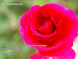 robin_williams_quotes Quotes 2