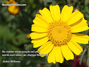 robin_williams_quotes Quotes 3