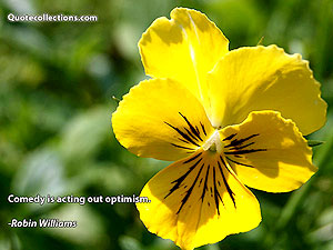 robin_williams_quotes Quotes 4